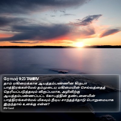 ரோமர் 9:23 TAMIRV Bible Verse Image