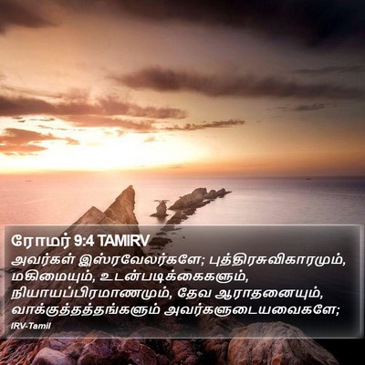 ரோமர் 9:4 TAMIRV Bible Verse Image