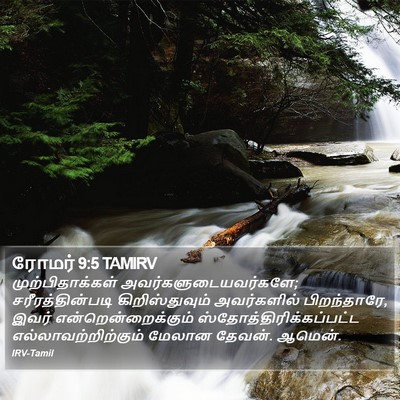 ரோமர் 9:5 TAMIRV Bible Verse Image