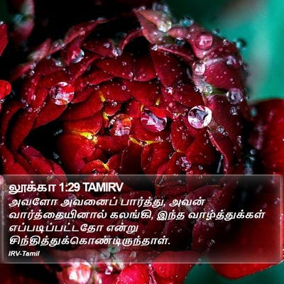 லூக்கா 1:29 TAMIRV Bible Verse Image