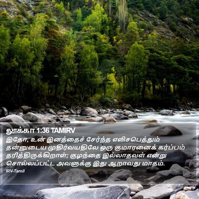 லூக்கா 1:36 TAMIRV Bible Verse Image