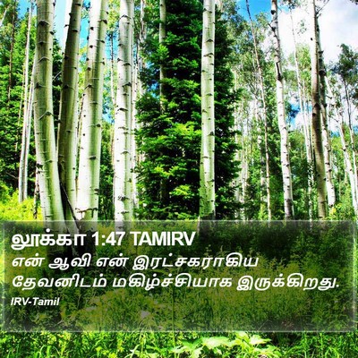 லூக்கா 1:47 TAMIRV Bible Verse Image