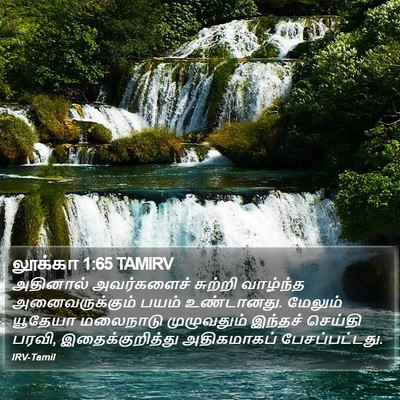 லூக்கா 1:65 TAMIRV Bible Verse Image