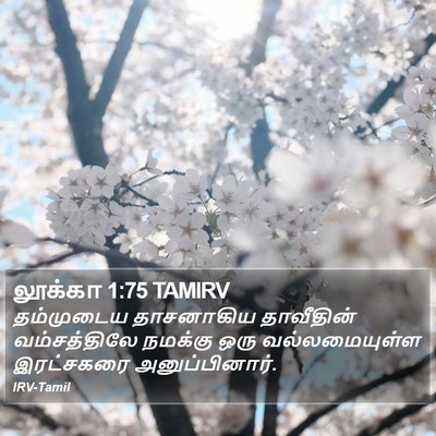 லூக்கா 1:75 TAMIRV Bible Verse Image