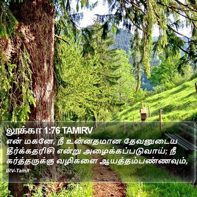 லூக்கா 1:76 TAMIRV Bible Verse Image