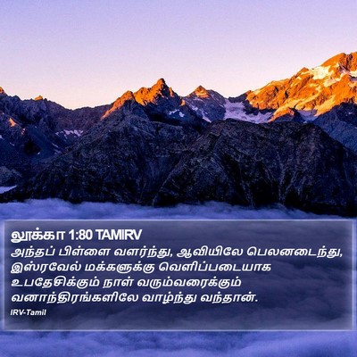 லூக்கா 1:80 TAMIRV Bible Verse Image