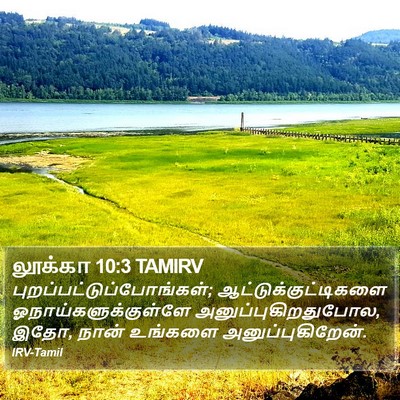 லூக்கா 10:3 TAMIRV Bible Verse Image