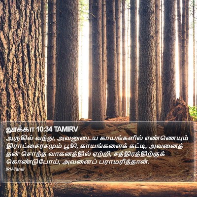லூக்கா 10:34 TAMIRV Bible Verse Image