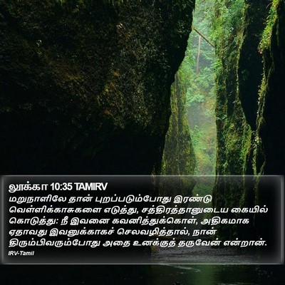 லூக்கா 10:35 TAMIRV Bible Verse Image