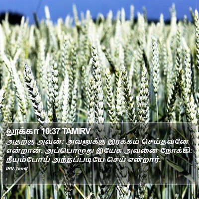 லூக்கா 10:37 TAMIRV Bible Verse Image