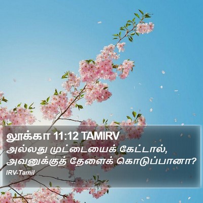 லூக்கா 11:12 TAMIRV Bible Verse Image