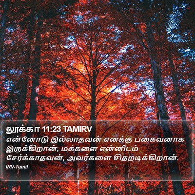 லூக்கா 11:23 TAMIRV Bible Verse Image