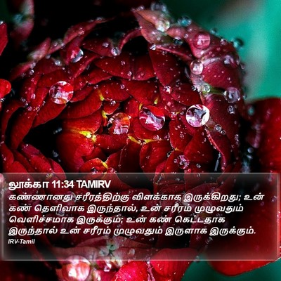 லூக்கா 11:34 TAMIRV Bible Verse Image