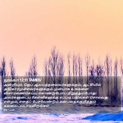 லூக்கா 12:11 TAMIRV Bible Verse Image