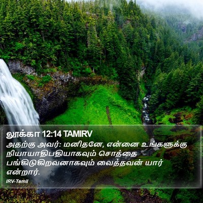லூக்கா 12:14 TAMIRV Bible Verse Image