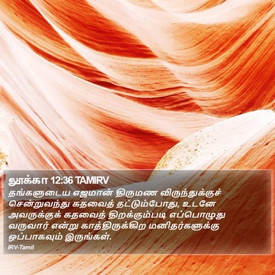 லூக்கா 12:36 TAMIRV Bible Verse Image