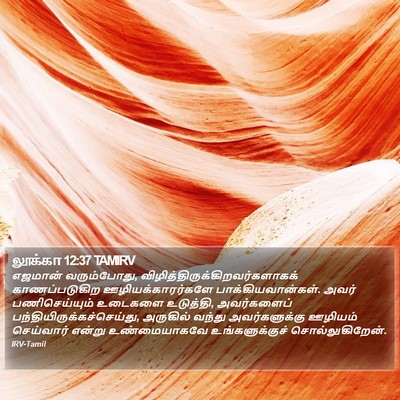 லூக்கா 12:37 TAMIRV Bible Verse Image