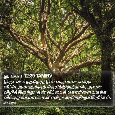 லூக்கா 12:39 TAMIRV Bible Verse Image