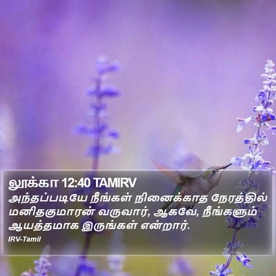 லூக்கா 12:40 TAMIRV Bible Verse Image