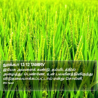 லூக்கா 13:12 TAMIRV Bible Verse Image