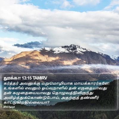 லூக்கா 13:15 TAMIRV Bible Verse Image