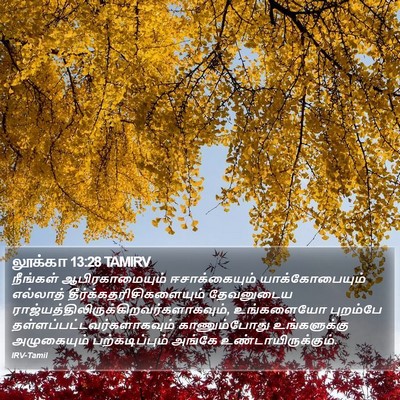 லூக்கா 13:28 TAMIRV Bible Verse Image