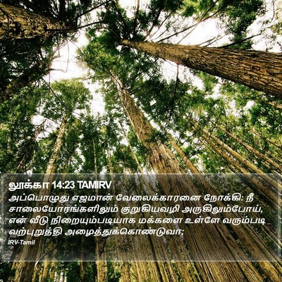 லூக்கா 14:23 TAMIRV Bible Verse Image