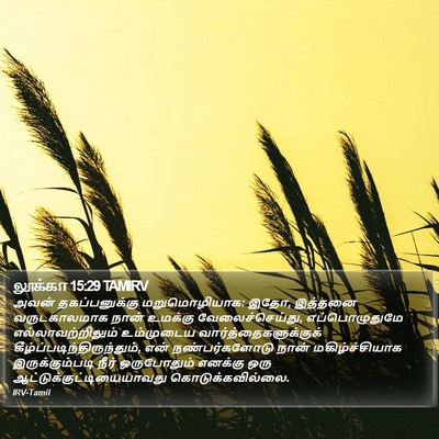 லூக்கா 15:29 TAMIRV Bible Verse Image