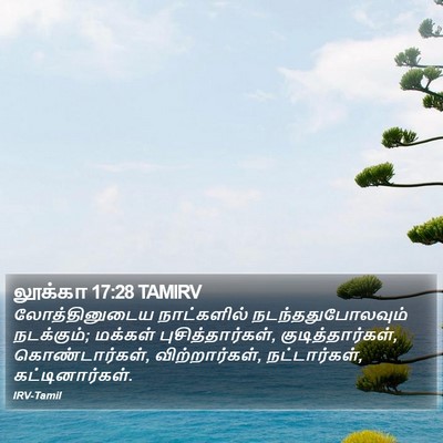 லூக்கா 17:28 TAMIRV Bible Verse Image
