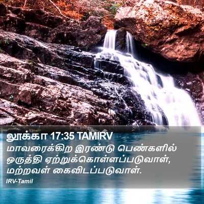 லூக்கா 17:35 TAMIRV Bible Verse Image