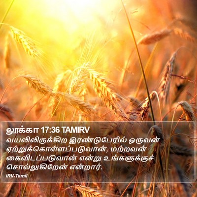 லூக்கா 17:36 TAMIRV Bible Verse Image