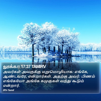 லூக்கா 17:37 TAMIRV Bible Verse Image