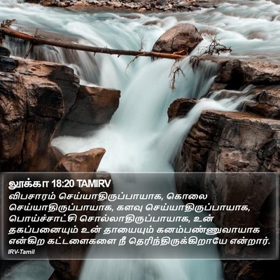 லூக்கா 18:20 TAMIRV Bible Verse Image