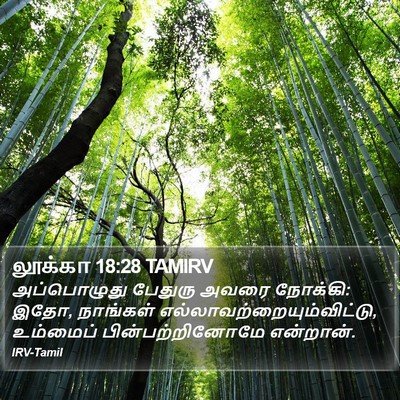லூக்கா 18:28 TAMIRV Bible Verse Image