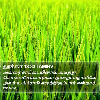 லூக்கா 18:33 TAMIRV Bible Verse Image