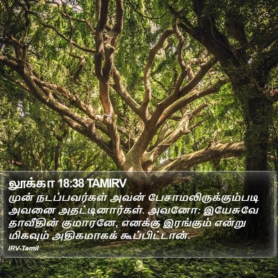 லூக்கா 18:38 TAMIRV Bible Verse Image