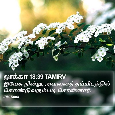 லூக்கா 18:39 TAMIRV Bible Verse Image