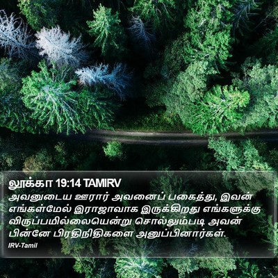 லூக்கா 19:14 TAMIRV Bible Verse Image