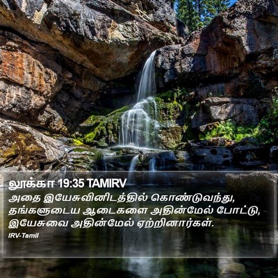 லூக்கா 19:35 TAMIRV Bible Verse Image