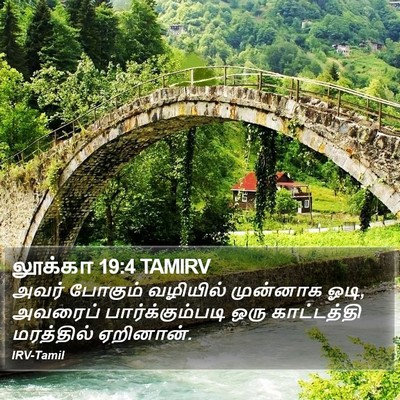 லூக்கா 19:4 TAMIRV Bible Verse Image