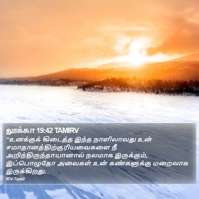 லூக்கா 19:42 TAMIRV Bible Verse Image