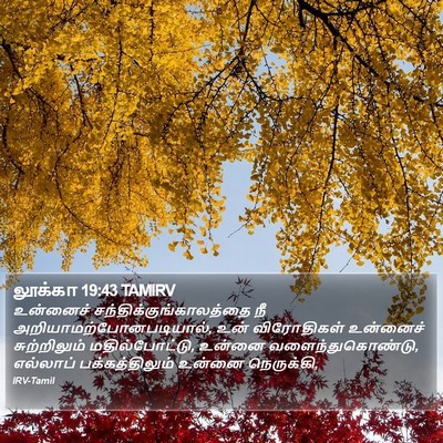 லூக்கா 19:43 TAMIRV Bible Verse Image