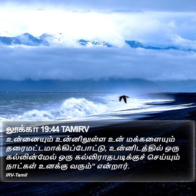 லூக்கா 19:44 TAMIRV Bible Verse Image