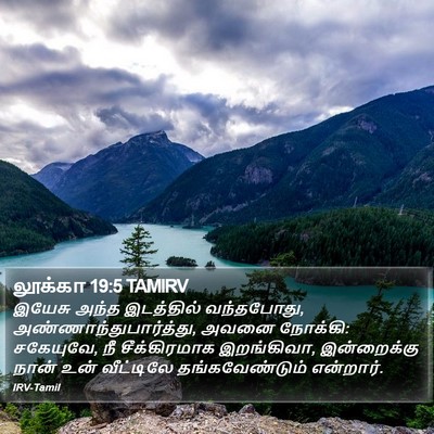 லூக்கா 19:5 TAMIRV Bible Verse Image