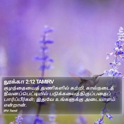 லூக்கா 2:12 TAMIRV Bible Verse Image