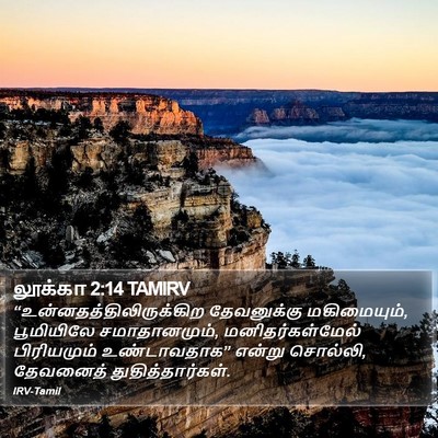 லூக்கா 2:14 TAMIRV Bible Verse Image