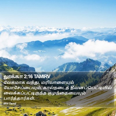 லூக்கா 2:16 TAMIRV Bible Verse Image