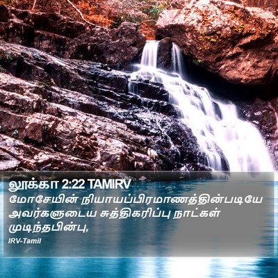 லூக்கா 2:22 TAMIRV Bible Verse Image