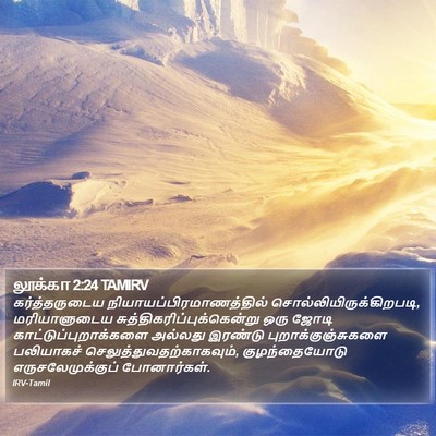 லூக்கா 2:24 TAMIRV Bible Verse Image