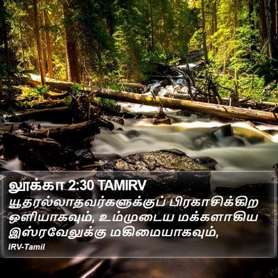 லூக்கா 2:30 TAMIRV Bible Verse Image